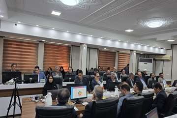 الگوی کشت نهم